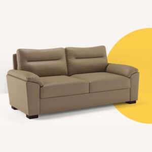 Comfort 2 Seater Sofa – C004